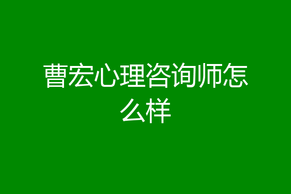 曹宏心理咨询师怎么样