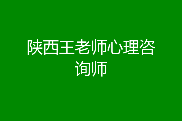 陕西王老师心理咨询师