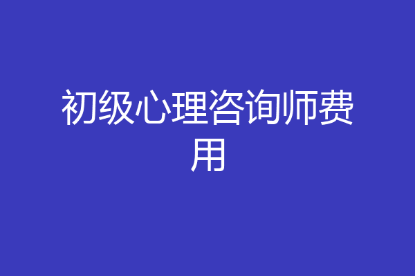 初级心理咨询师费用