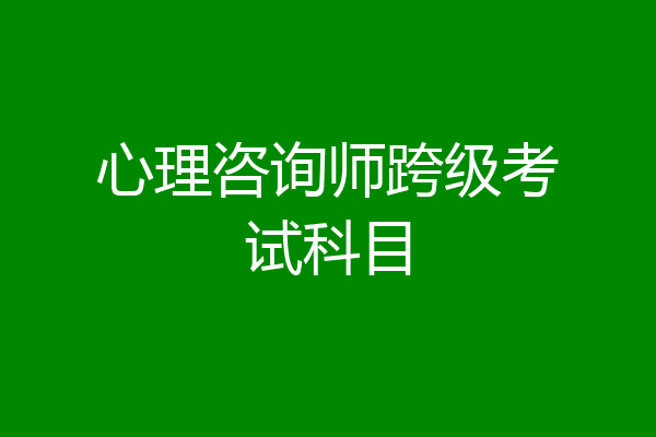 心理咨询师跨级考试科目
