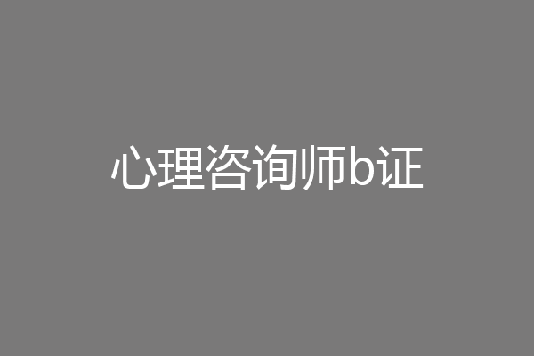 心理咨询师b证
