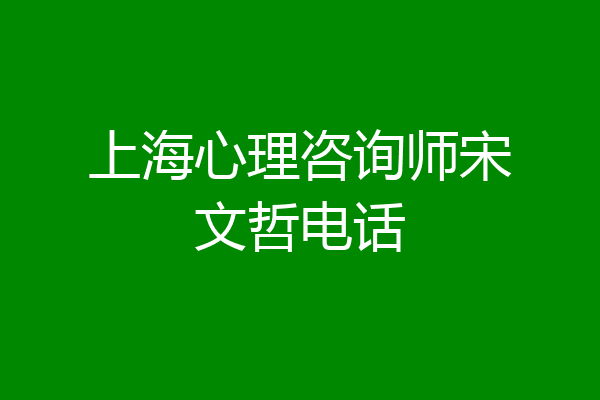 上海心理咨询师宋文哲电话