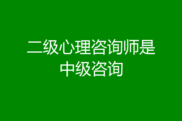二级心理咨询师是中级咨询