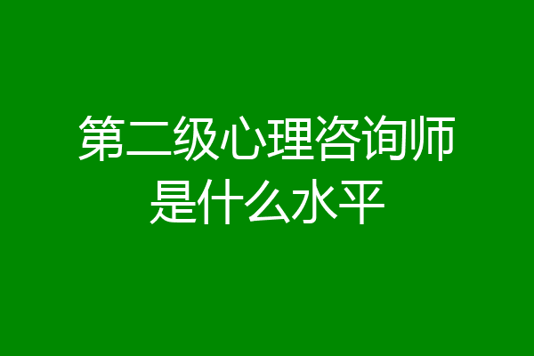 第二级心理咨询师是什么水平