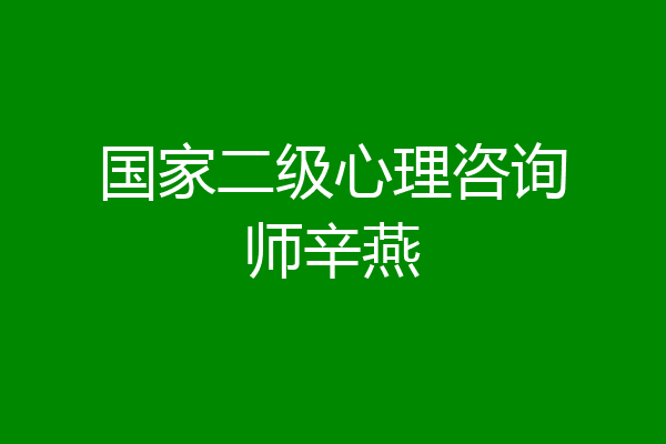 国家二级心理咨询师辛燕