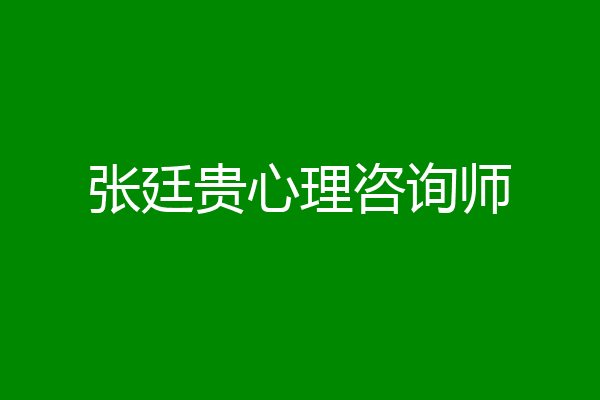 张廷贵心理咨询师
