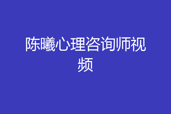 陈曦心理咨询师视频