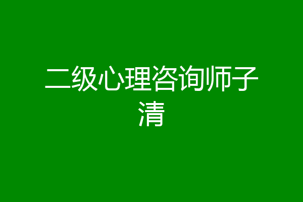 二级心理咨询师子清
