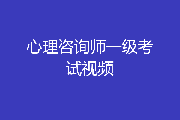 心理咨询师一级考试视频