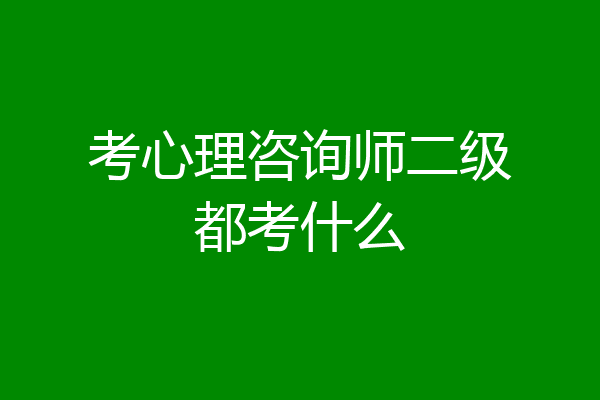 考心理咨询师二级都考什么