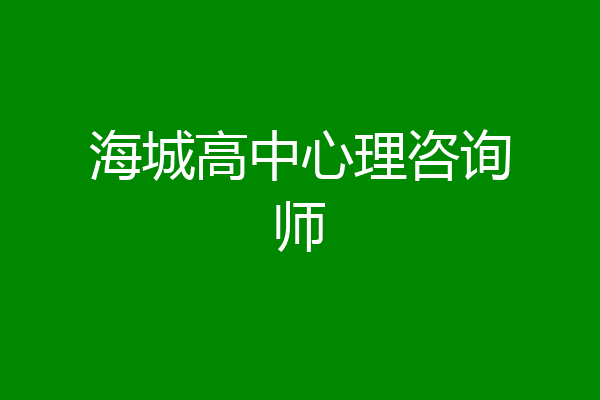 海城高中心理咨询师