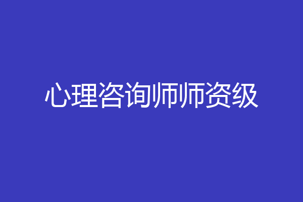 心理咨询师师资级