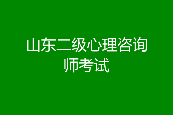 山东二级心理咨询师考试