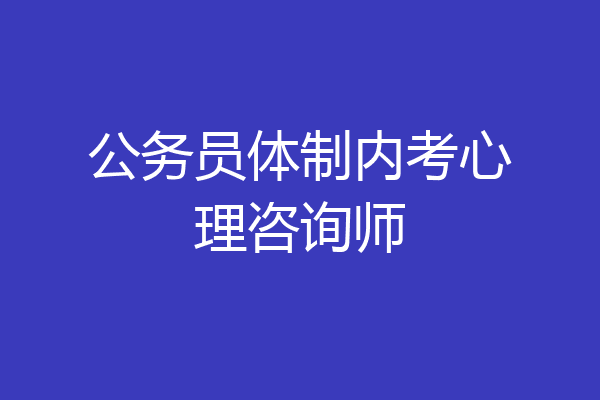 公务员体制内考心理咨询师