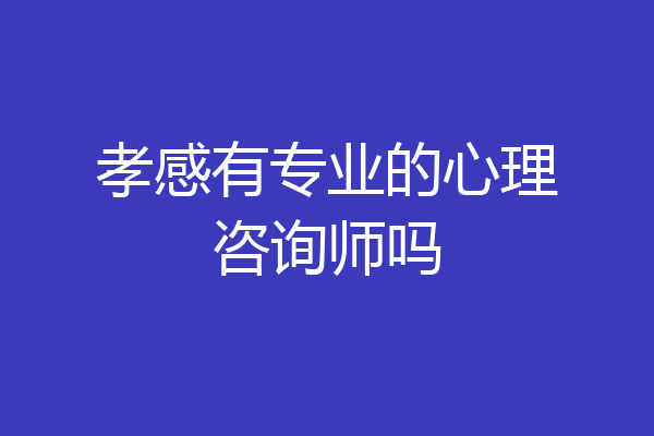 孝感有专业的心理咨询师吗