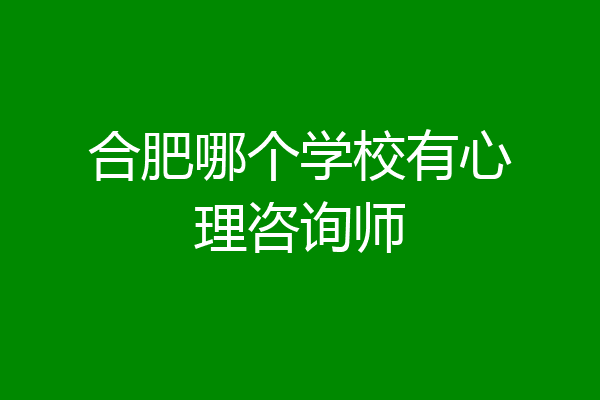 合肥哪个学校有心理咨询师