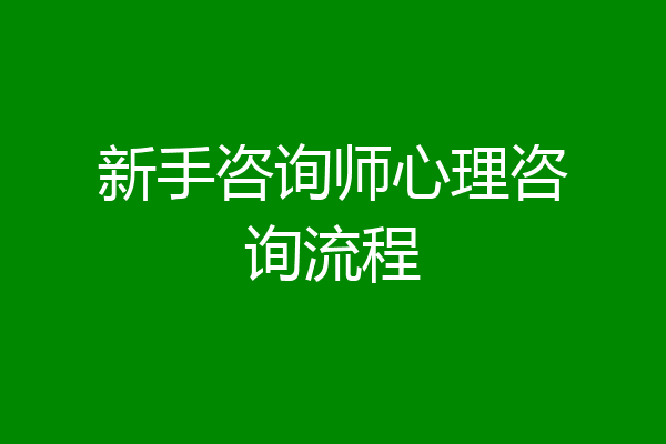 新手咨询师心理咨询流程