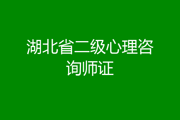 湖北省二级心理咨询师证