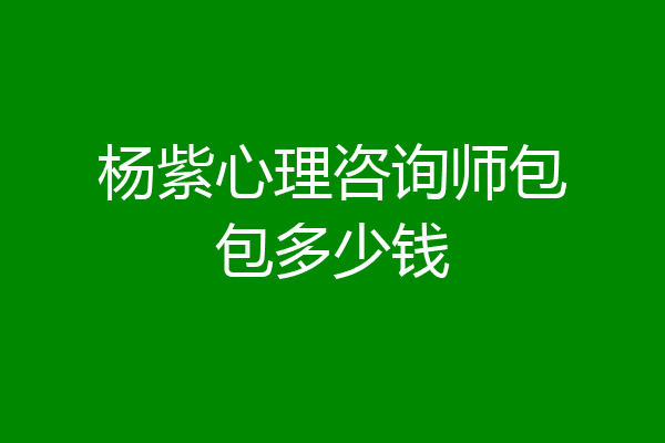 杨紫心理咨询师包包多少钱