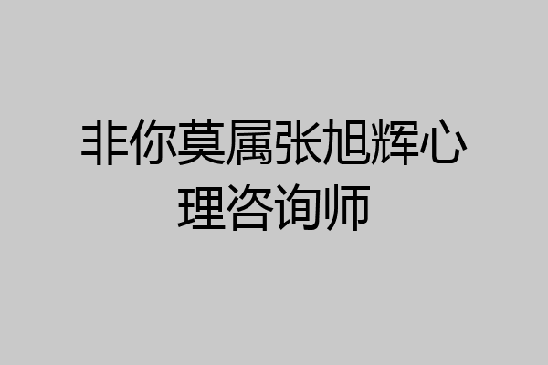 非你莫属张旭辉心理咨询师