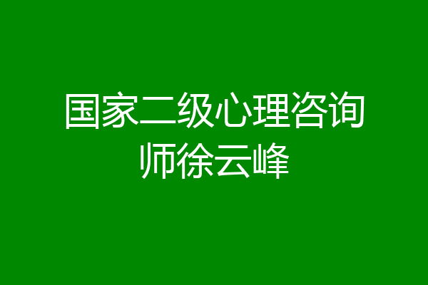 国家二级心理咨询师徐云峰