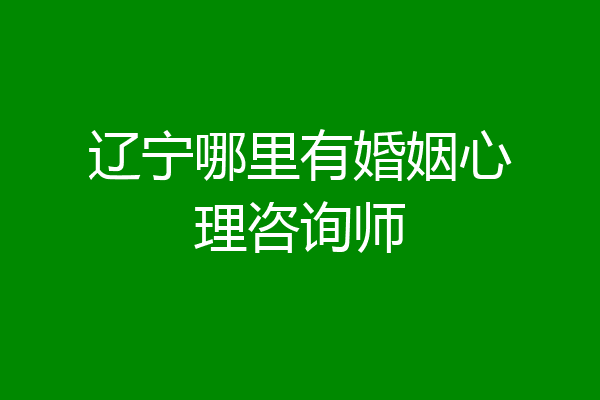 辽宁哪里有婚姻心理咨询师