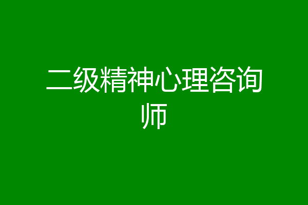 二级精神心理咨询师
