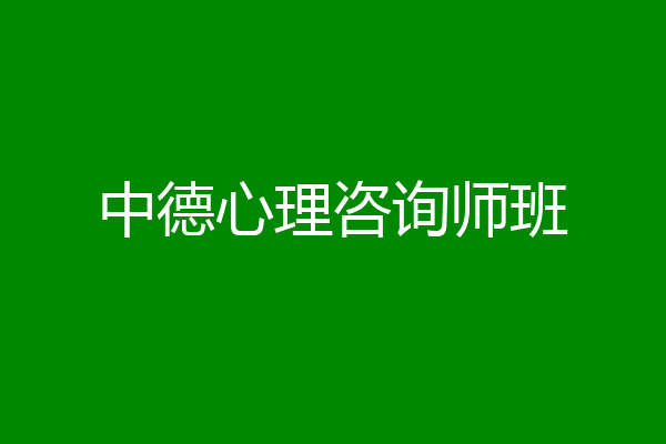 中德心理咨询师班