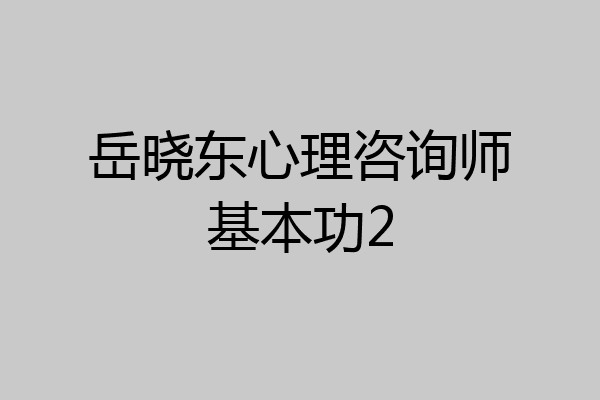 岳晓东心理咨询师基本功2