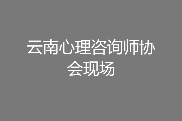 云南心理咨询师协会现场