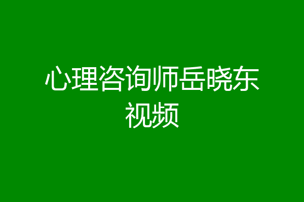 心理咨询师岳晓东视频