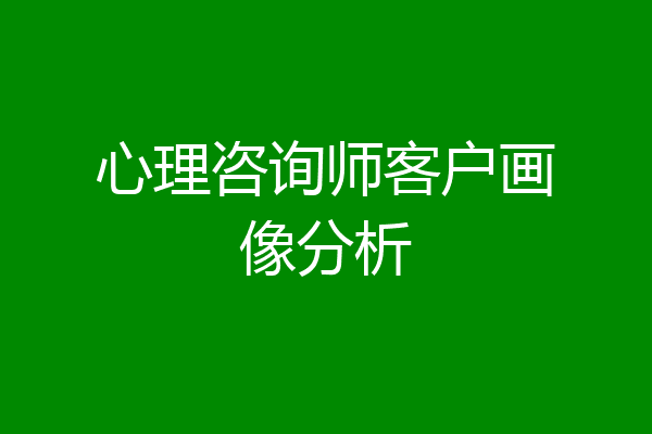 心理咨询师客户画像分析