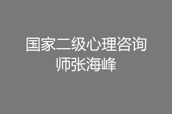 国家二级心理咨询师张海峰