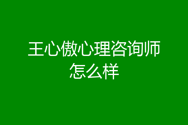 王心傲心理咨询师怎么样