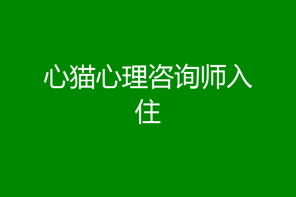 心猫心理咨询师入住