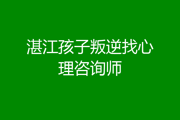 湛江孩子叛逆找心理咨询师