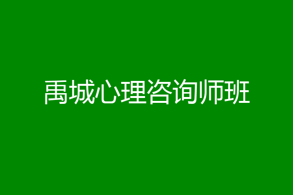 禹城心理咨询师班