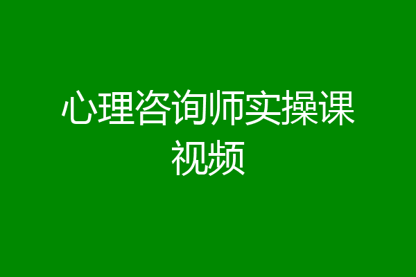心理咨询师实操课视频