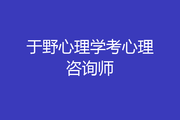 于野心理学考心理咨询师