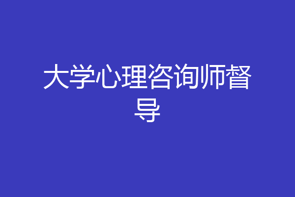 大学心理咨询师督导