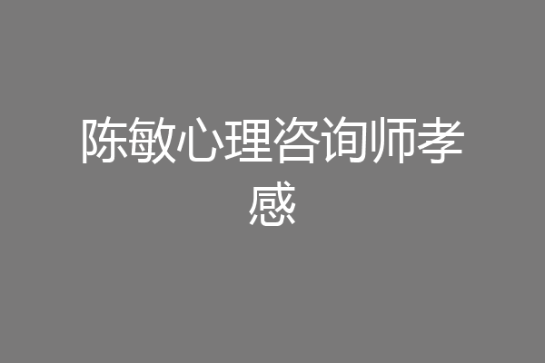 陈敏心理咨询师孝感