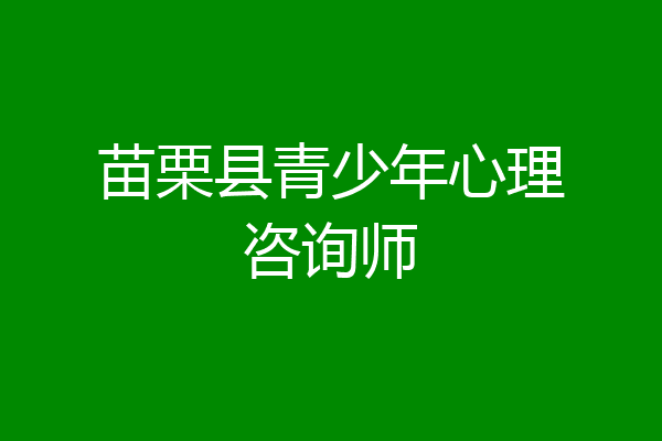 苗栗县青少年心理咨询师