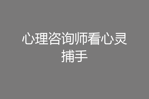 心理咨询师看心灵捕手