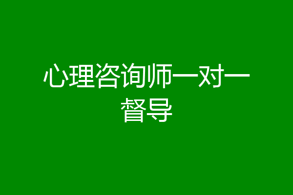 心理咨询师一对一督导