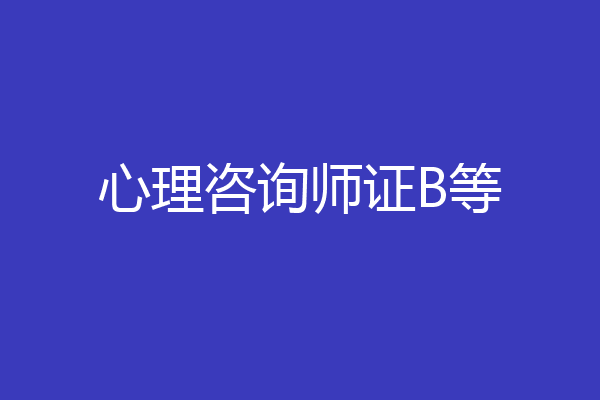 心理咨询师证B等