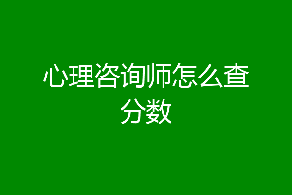 心理咨询师怎么查分数