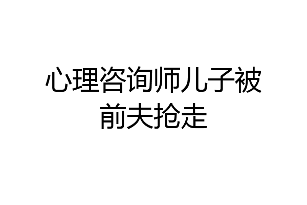 心理咨询师儿子被前夫抢走