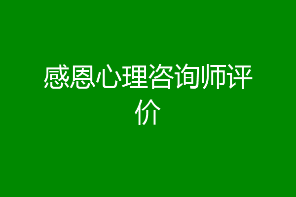 感恩心理咨询师评价