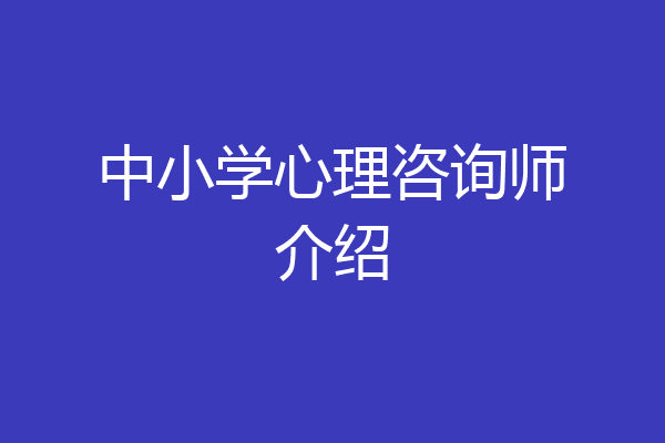 中小学心理咨询师介绍