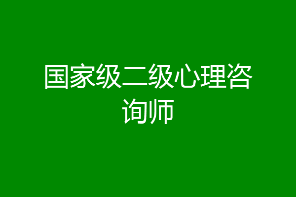 国家级二级心理咨询师